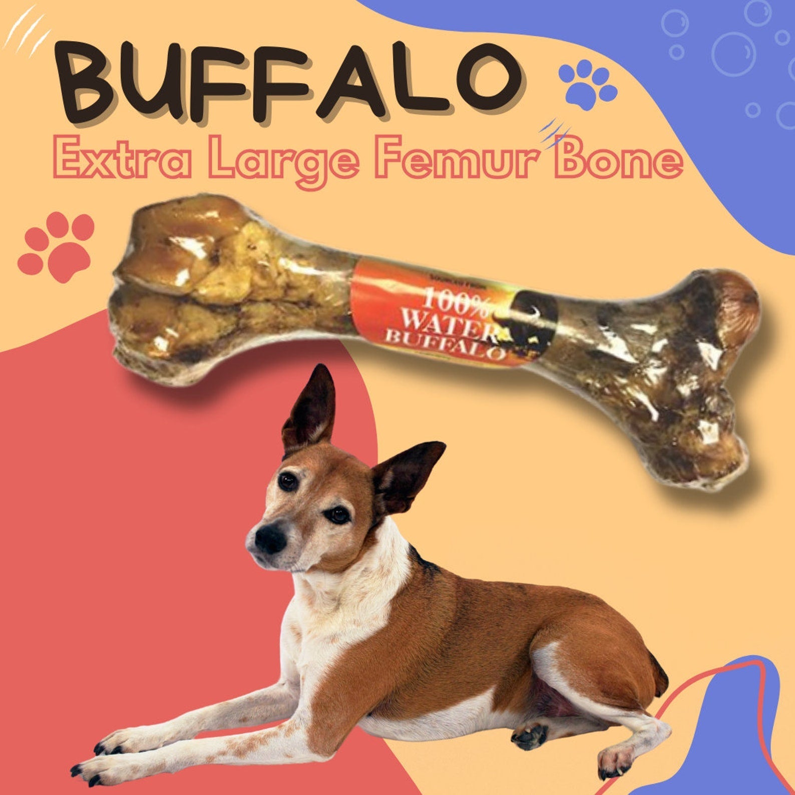 Water Buffalo XL Femur Bone Dog Chew | All-Natural, Durable Treat for Aggressive Chewers | Grass-Fed Long-Lasting Bone for Large Dogs