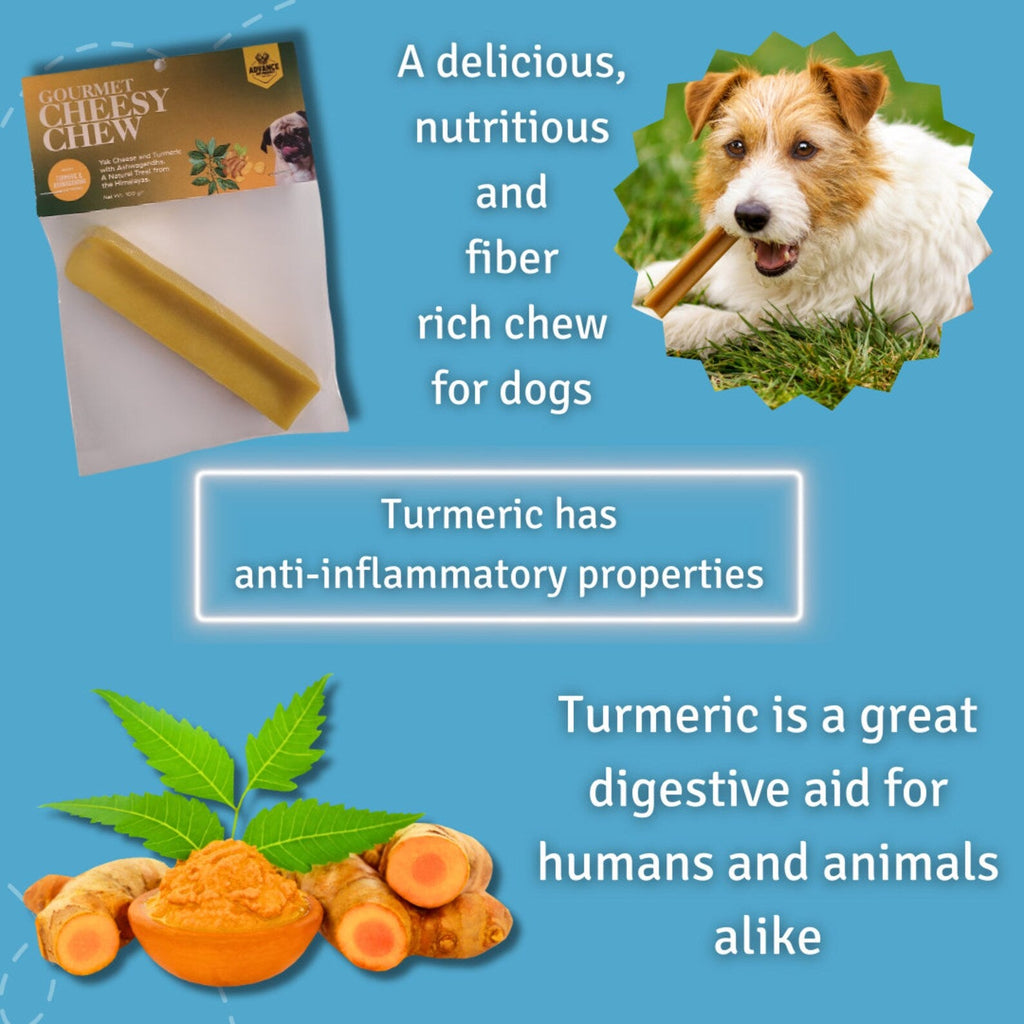 Turmeric and Ashwagandha Yak Cheese Dog Chews – Natural Himalayan Treats – Long-Lasting Gluten-Free Chews for Dogs