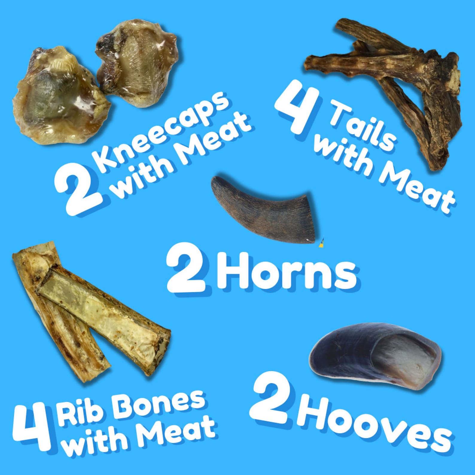 All-Natural Water Buffalo Dog Treat Pack – 12-Piece Grass-Fed, Hormone-Free Chews | Horns, Kneecaps, Rib Bones, Tails & Hooves