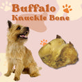 Buffalo Knuckle Bone for Dogs – Natural, Long-Lasting Chew for Aggressive Chewers | Healthy Treat | 2-Pack & Bulk Options