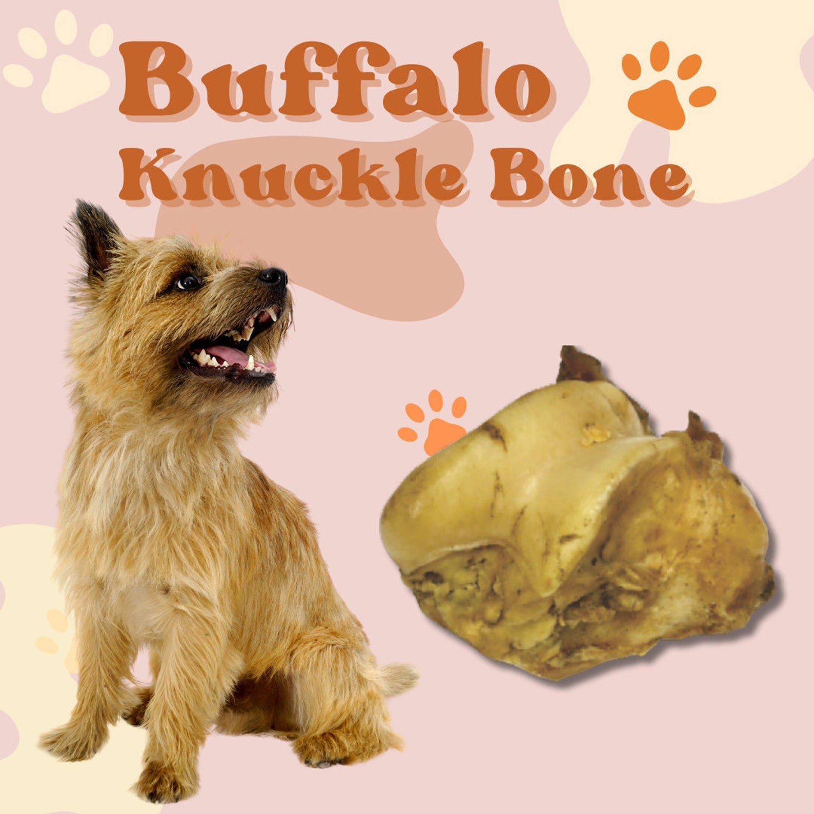 Buffalo Knuckle Bone for Dogs – Natural, Long-Lasting Chew for Aggressive Chewers | Healthy Treat | 2-Pack & Bulk Options