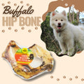 Water Buffalo Hip Bone!!