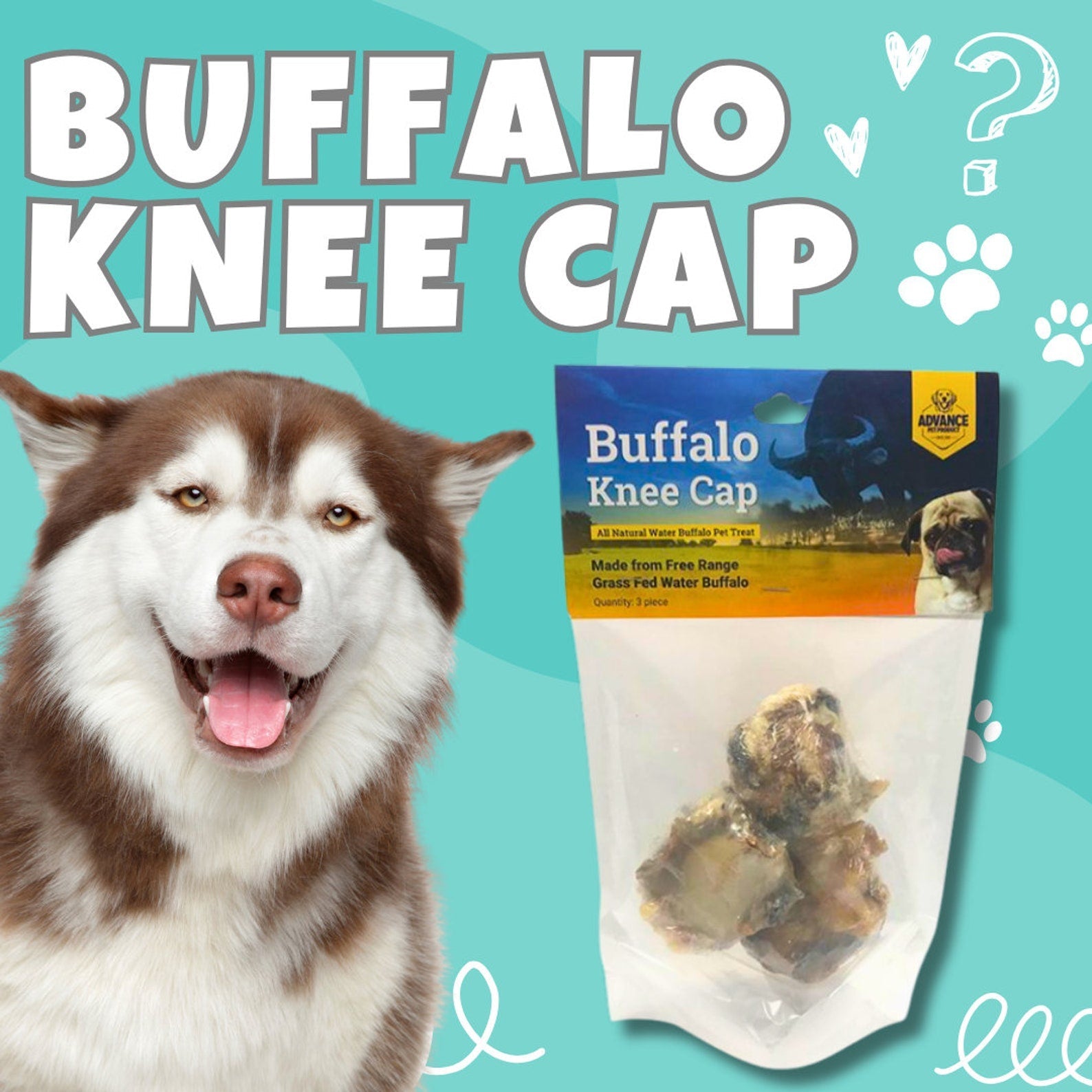 Natural Water Buffalo Kneecap for Dogs - Long Lasting Buffalo Dog Chew, Healthy Natural Dog Treat, Rawhide Free Knee Cap Chew Toy