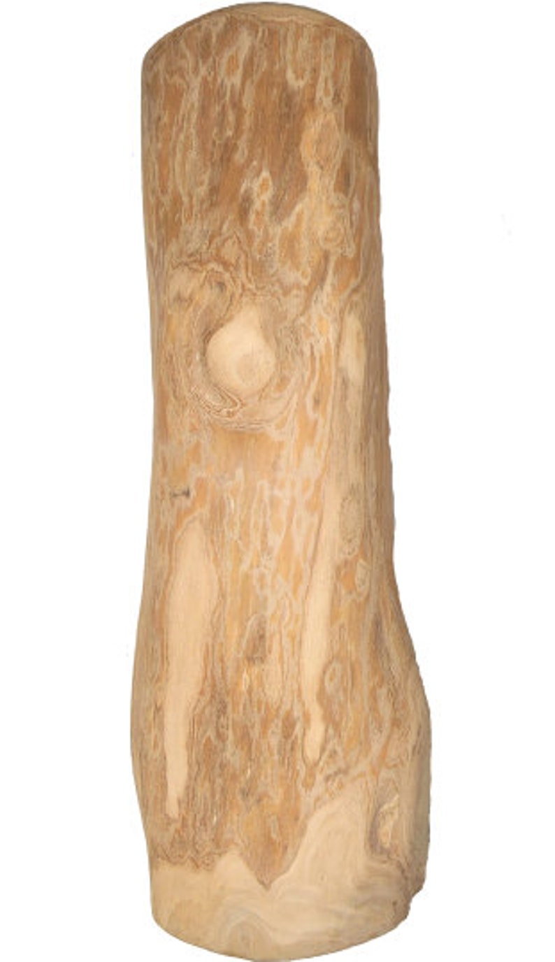 Olive & Coffee Wood Dog Chew Sticks – Real Wood Dog Chew Toys for Heavy Chewers – Natural, Safe, Long Lasting – 1, 2, or 4 Pack