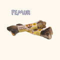 Free-Range Kangaroo Dog Treats – Australian Femur & Lumbar Chews | Single Ingredient, Grain-Free, Low Fat, High Protein