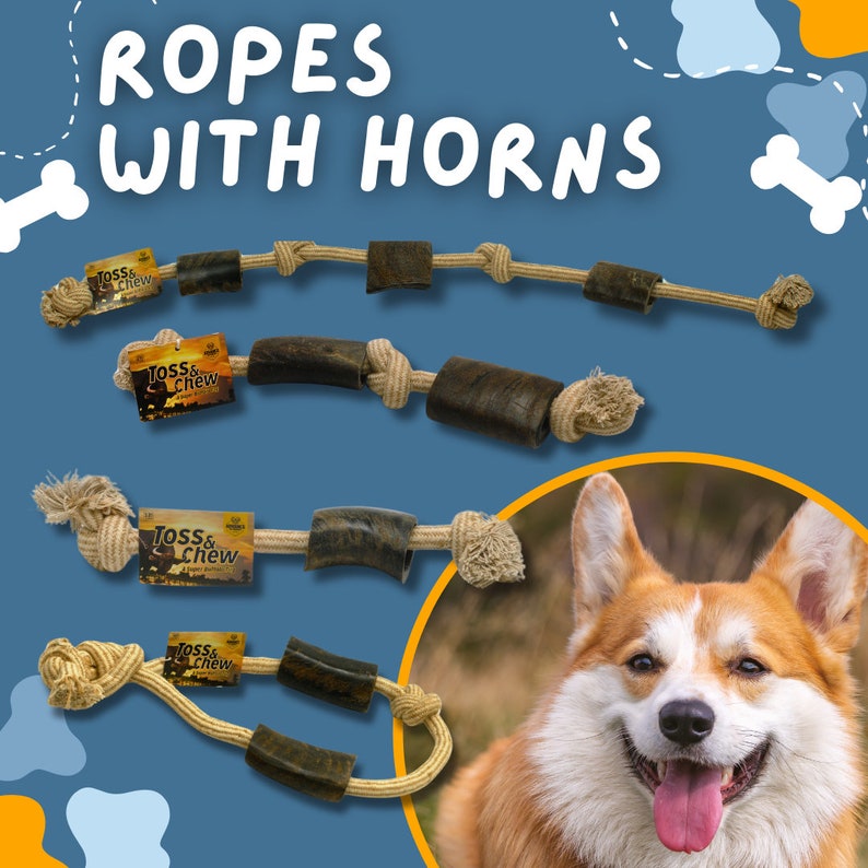 Natural Dog Chew Toy with Water Buffalo Horns – Durable Rope Toy for Aggressive Chewers – Long-Lasting & All-Natural – 4 Sizes Available