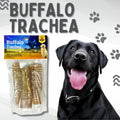 Natural Water Buffalo Trachea for Dogs - 6" & 12" Sizes, Single Ingredient Buffalo Trachea Chew, Premium Natural Dog Treat, Joint Support