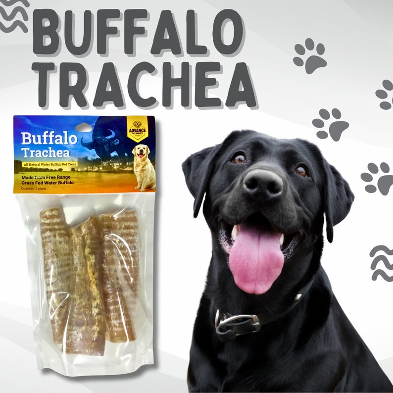 Natural Water Buffalo Trachea for Dogs - 6" & 12" Sizes, Single Ingredient Buffalo Trachea Chew, Premium Natural Dog Treat, Joint Support