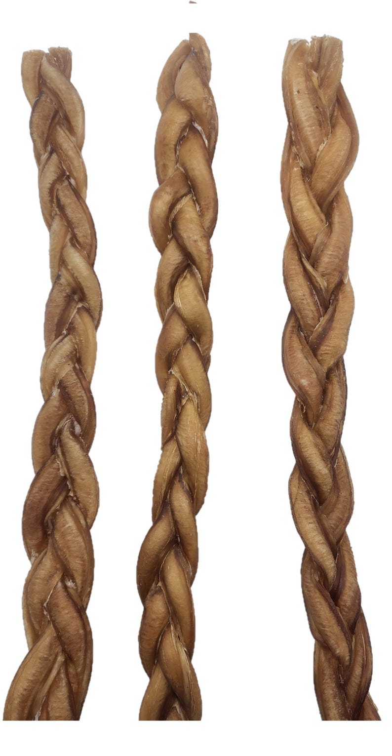 Braided Bully Stick- Bulk