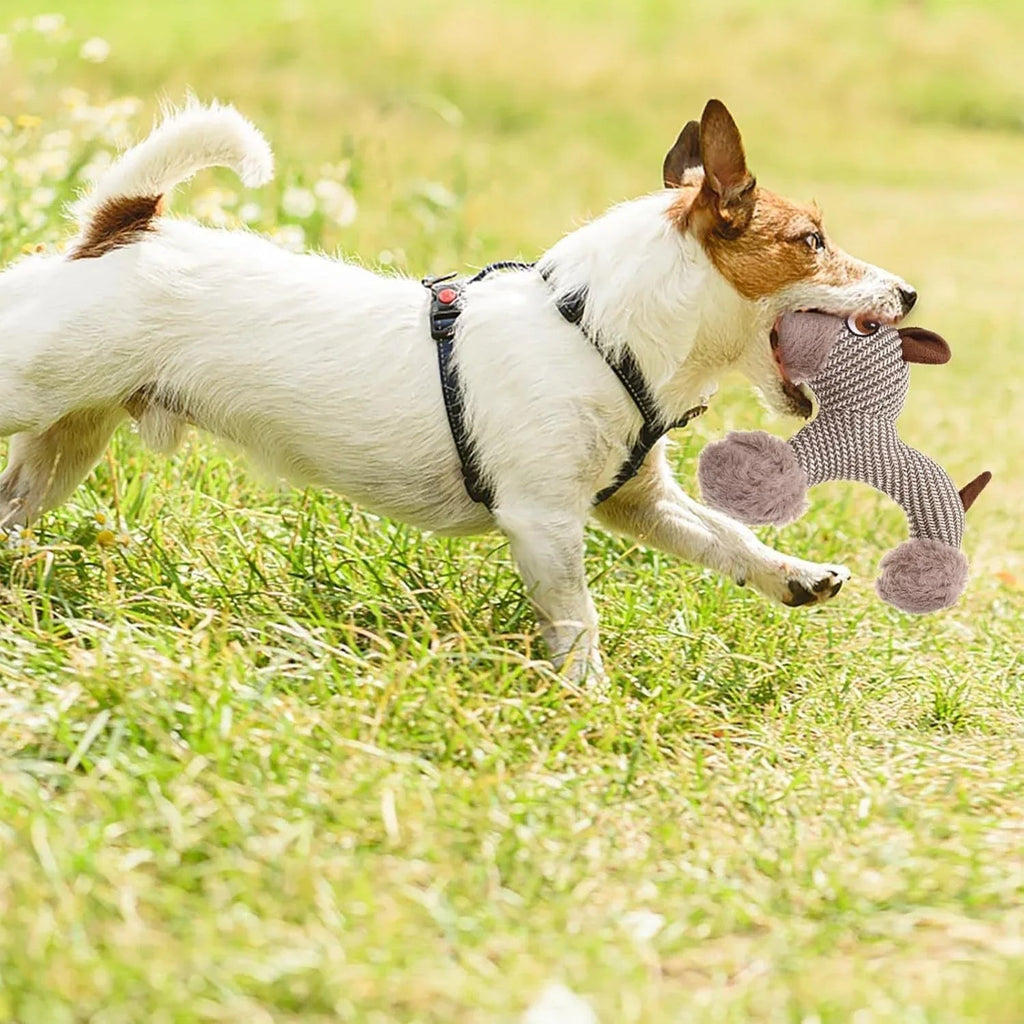 Large Squeaky Stuffed Animals Dog Plush Chew Toys