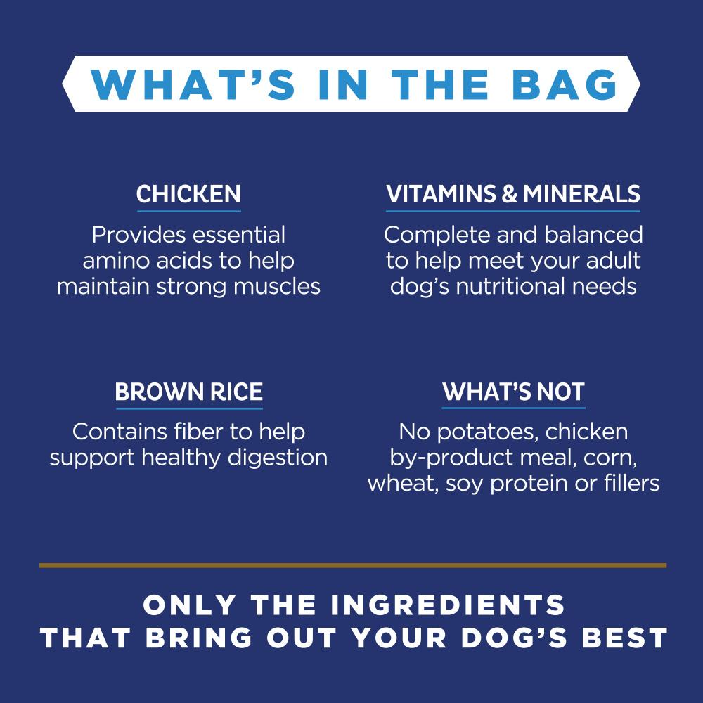 Natural Balance Limited Ingredient Chicken & Brown Rice Recipe Dry Dog Food
