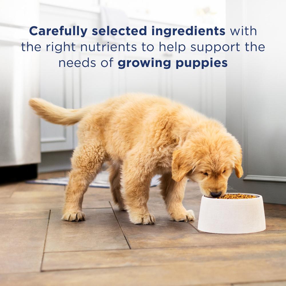 Natural Balance Limited Ingredient Diet Chicken & Brown Rice Puppy Recipe Dry Dog Food
