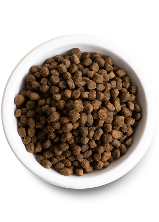 Open Farm Farmer's Table Pork Dry Dog Food