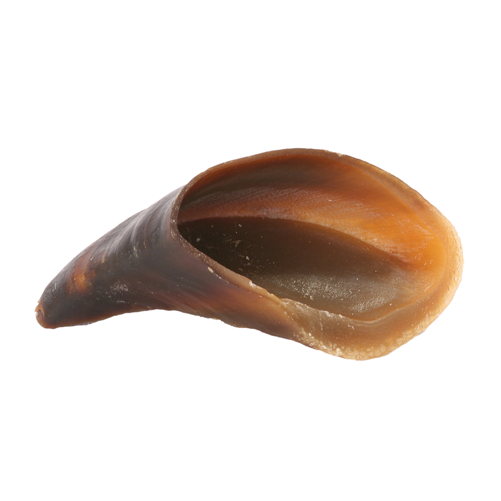Redbarn Naturals Cow Hooves Dog Chews