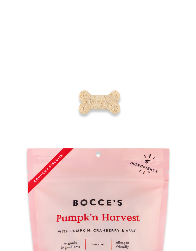 Bocce's Bakery Pumpk'n Harvest Biscuits