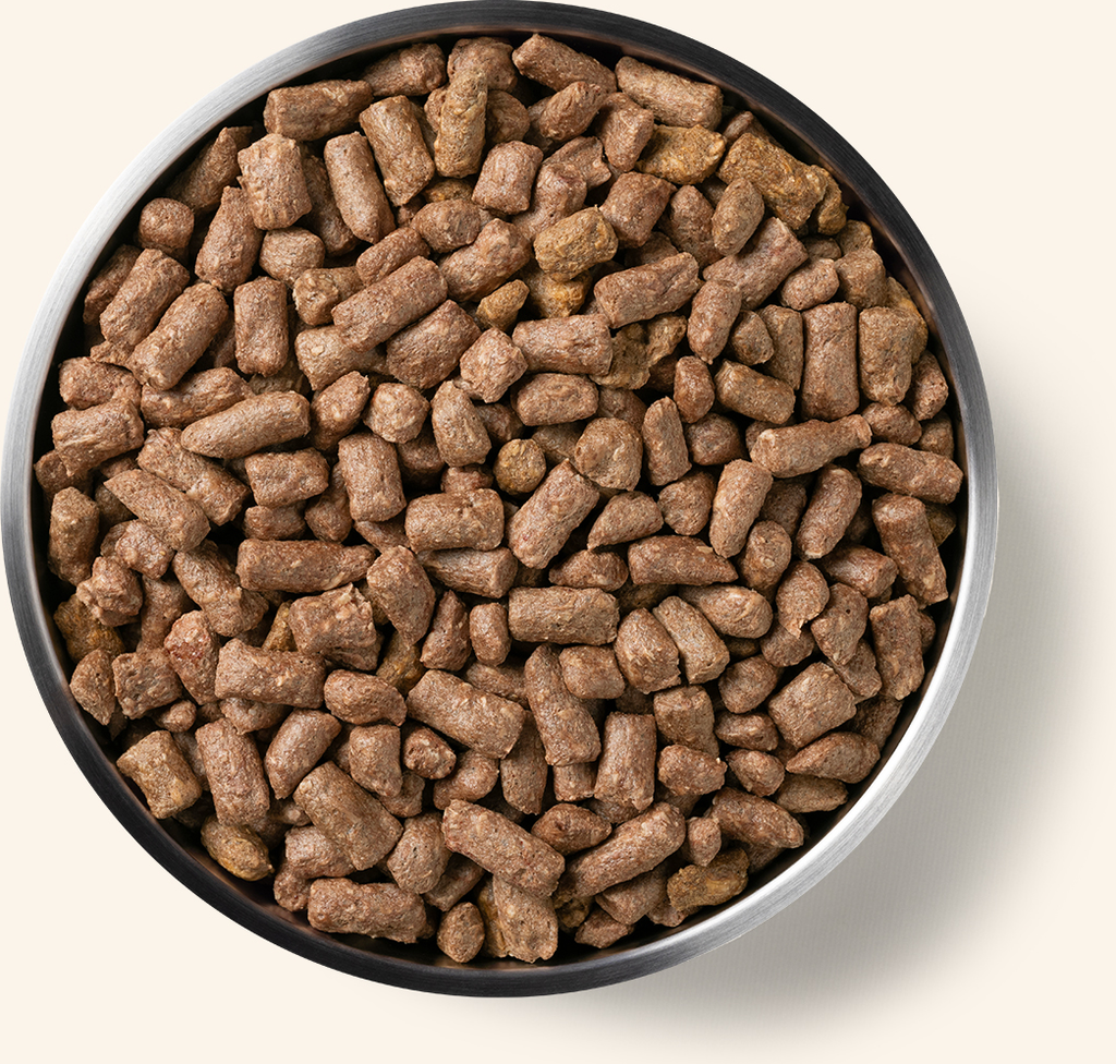 Vital Essentials Freeze-Dried Raw Turkey Entrée Mini Nibs Dog Food