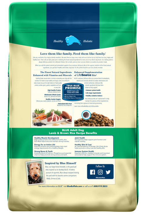 Blue Buffalo Life Protection Natural Lamb & Brown Rice Recipe Adult Dry Dog Food
