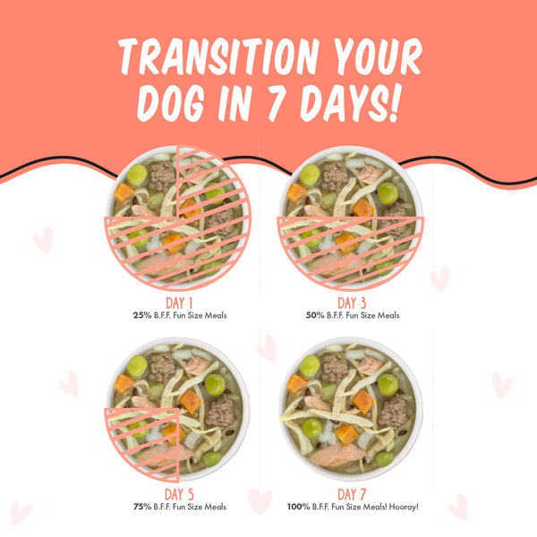 Weruva B.F.F. Fun Size Meals  We Be Jammin' with Chicken Breast, Rice, Pumpkin & Salmon