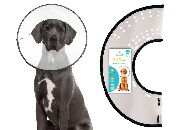 ZenPet E-Clear Recovery Collar