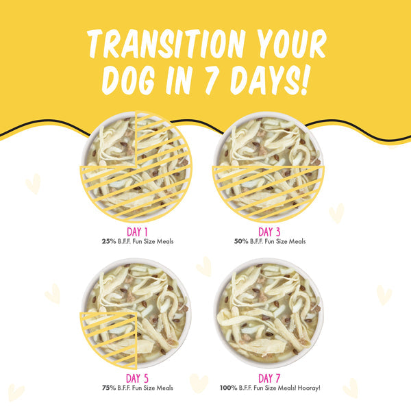 Weruva BFF Fun Size Meals  Roll The Dice with Chicken Breast & Rice Dog Wet  Food