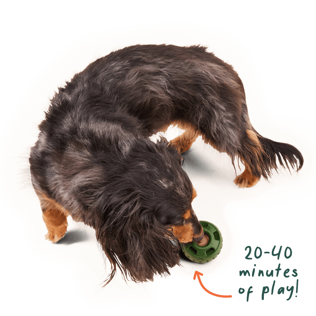 Woof Calming Vitamin Pops Dog Treats