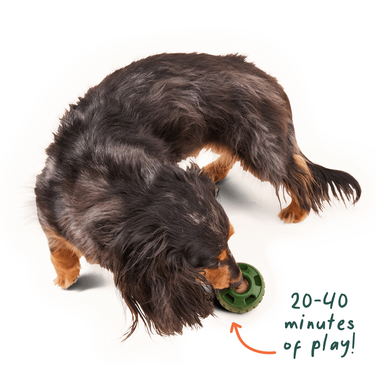 Woof Calming Vitamin Pops Dog Treats