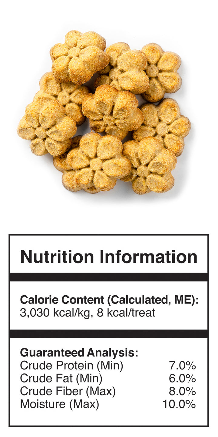 Fruitables Healthy Dog Treats: Crispy Bacon & Apple