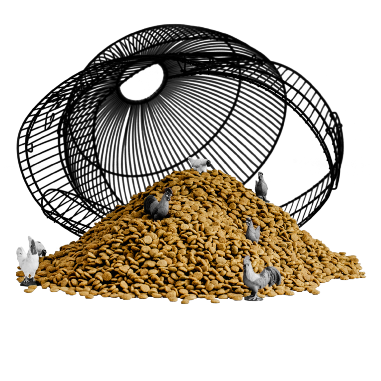 Bixbi Pet Rawbble® Dry Food for Dogs – Chicken Recipe
