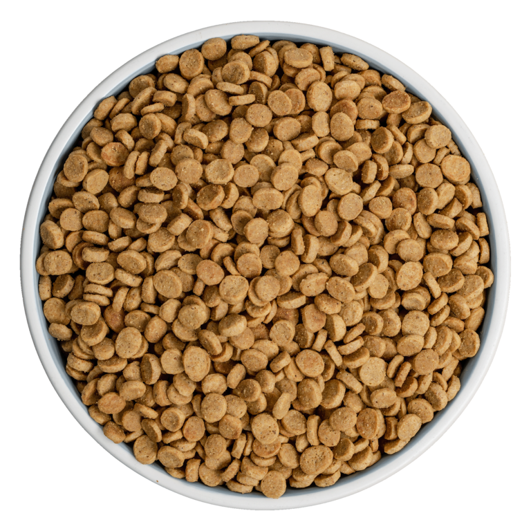 Bixbi Pet Rawbble® Dry Food for Dogs – Lamb Recipe