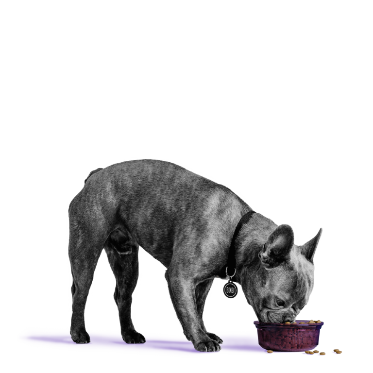 Bixbi Pet Rawbble® Dry Food for Dogs – Lamb Recipe