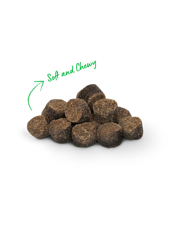 Open Farm Be Good Bites Turkey Treats