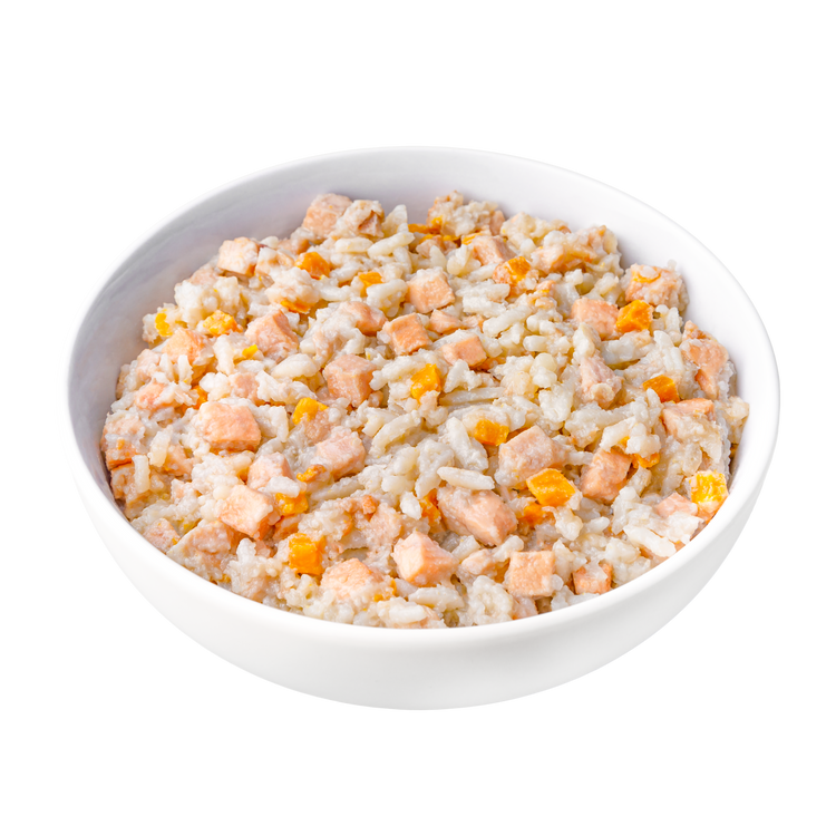 Koha Limited Ingredient Bland Diet Chicken & White Rice Recipe for Dogs