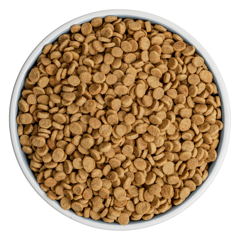 BIXBI RAWBBLE® DRY DOG FOOD - PORK RECIPE