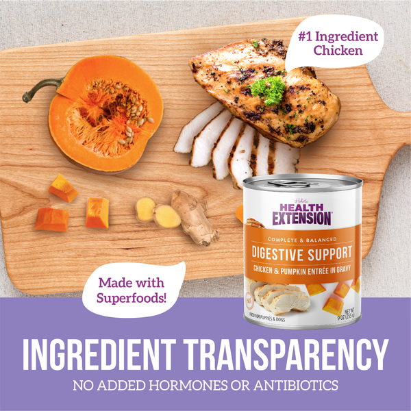 Health Extension Digestive Support, Chicken & Pumpkin Entree in Gravy Dog Food