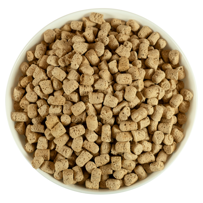 Bixbi Rawbble® Freeze-Dried Food for Dogs – Chicken & Salmon Recipe