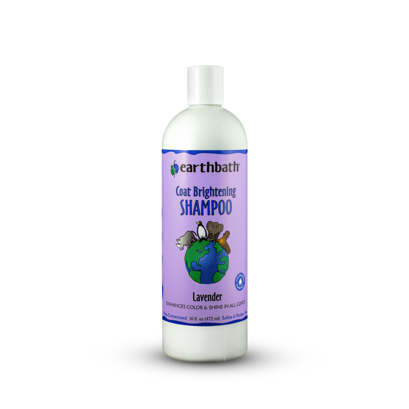Earthbath Coat Brightening Shampoo