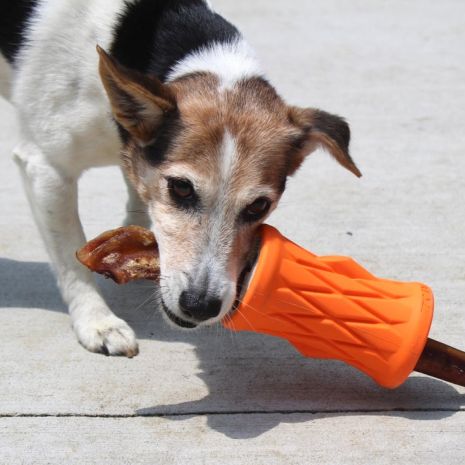 Tall Tails Natural Rubber Tree Trunk Reward Dog Toy