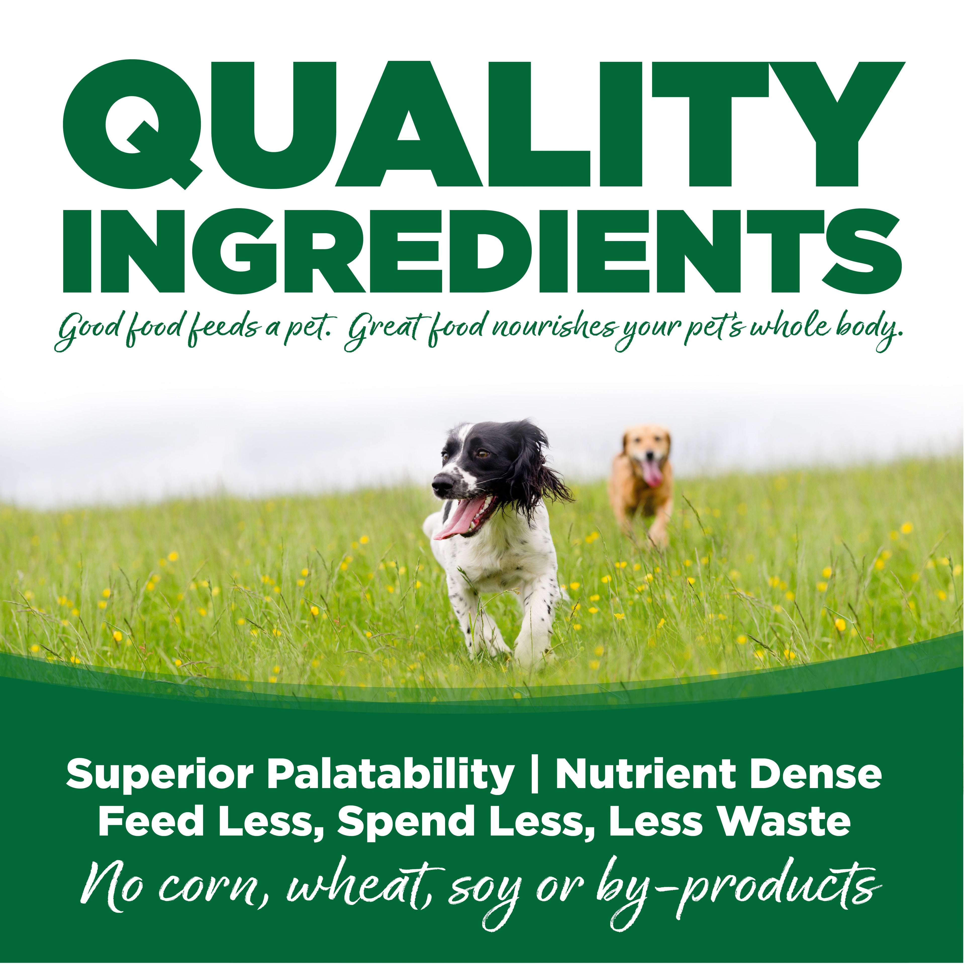 NutriSource® Turkey & Rice Recipe