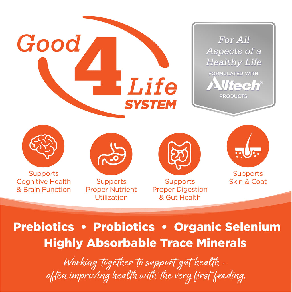NutriSource® Performance Recipe Dog Food