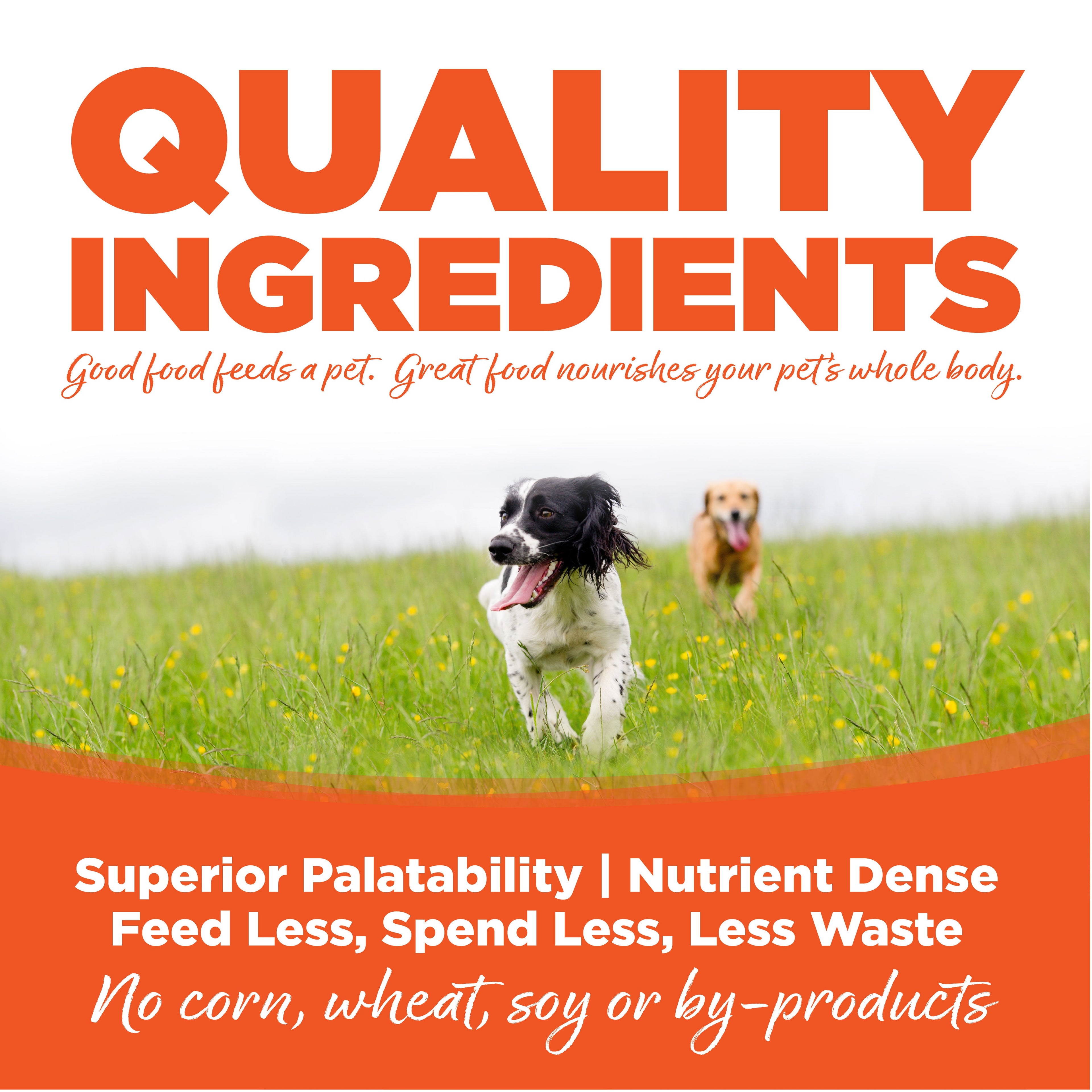 NutriSource® Performance Recipe Dog Food