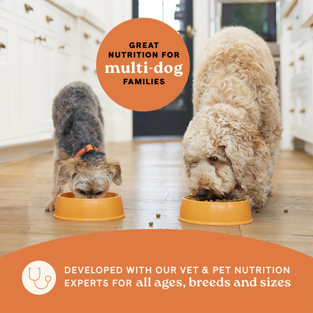 Canidae All Life Stages Dry Dog Food Real Chicken & Ancient Grains Recipe