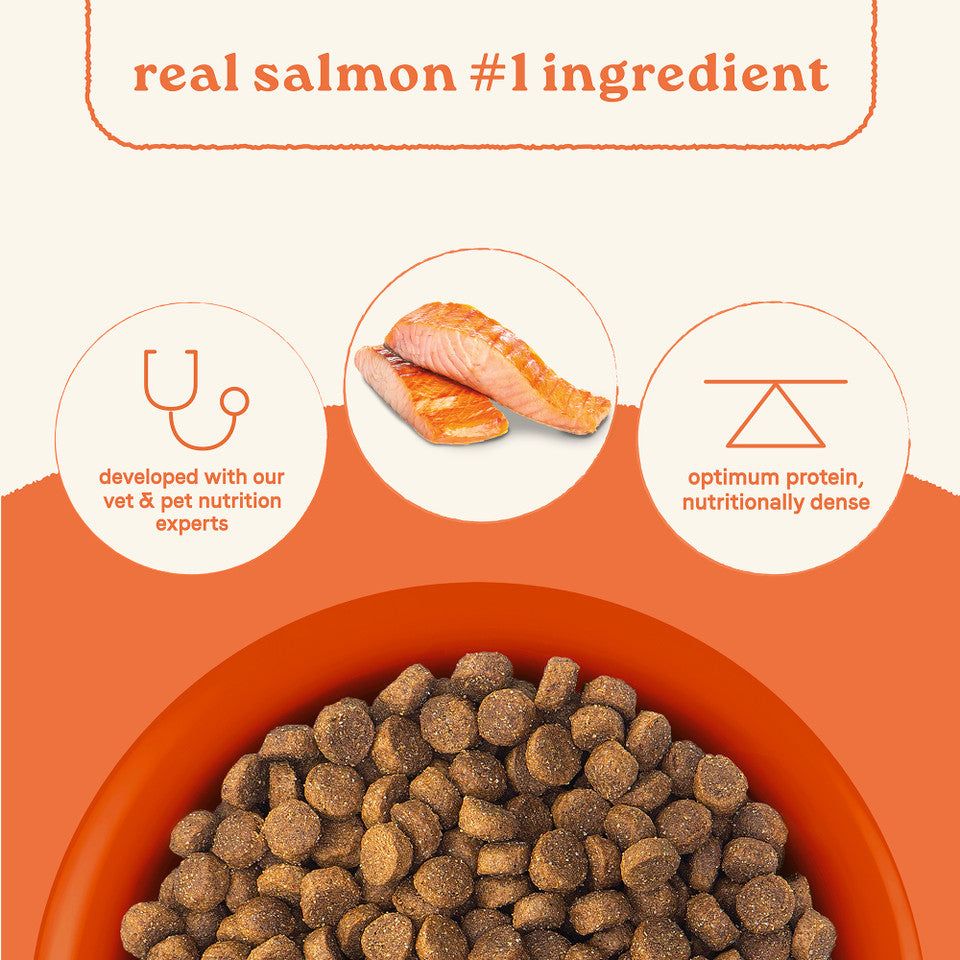 Canidae All Life Stages Dry Dog Food Real Salmon & Ancient Grains Recipe