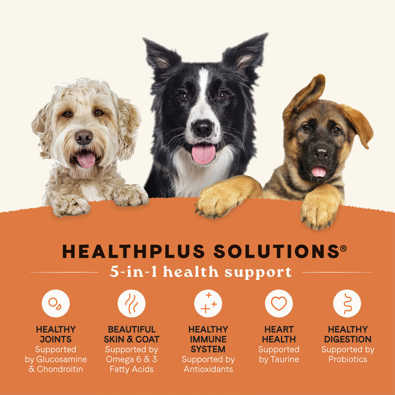 Canidae All Life Stages Dry Dog Food Real Salmon & Ancient Grains Recipe
