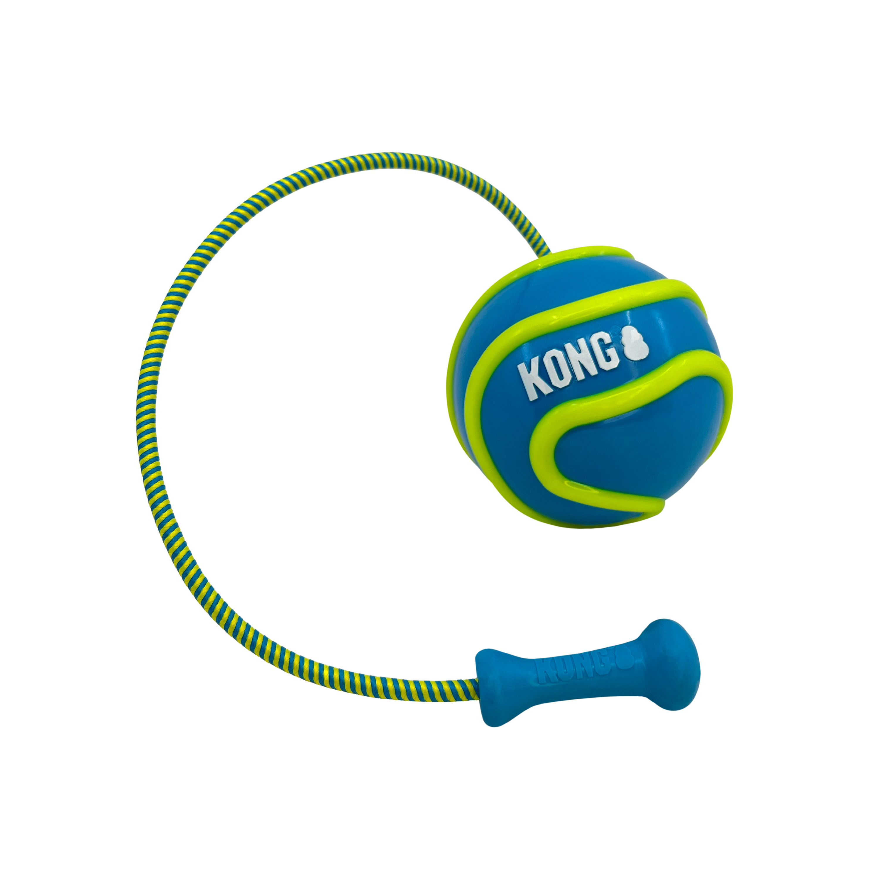 KONG Bunji High-Viz Ball Dog Toy