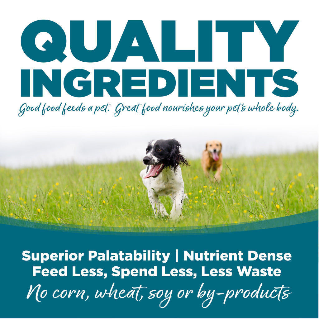 NutriSource® Adult Chicken & Rice Formula Healthy Wet Dog Food