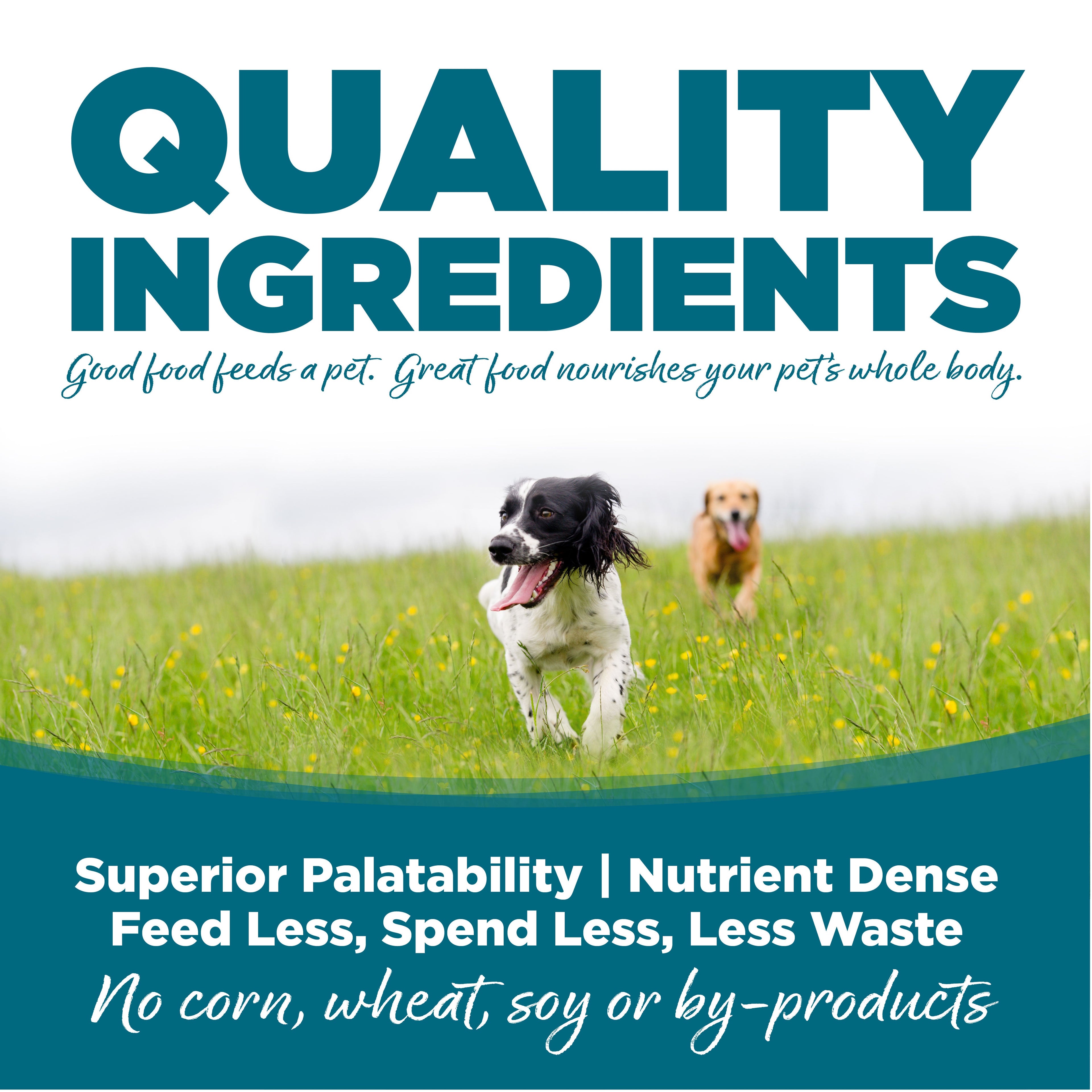 NutriSource® Adult Chicken & Rice Formula Healthy Wet Dog Food