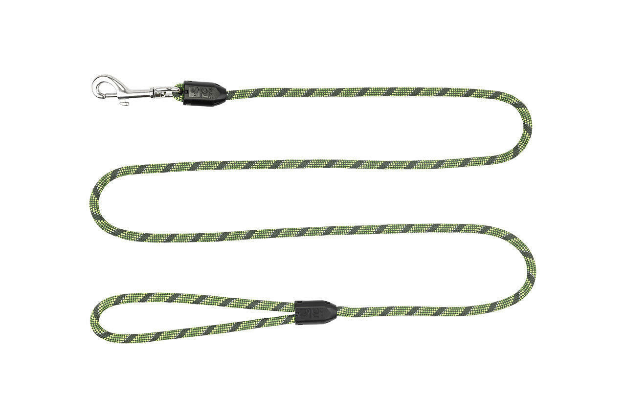 RC Pet Rope Leash for Dogs