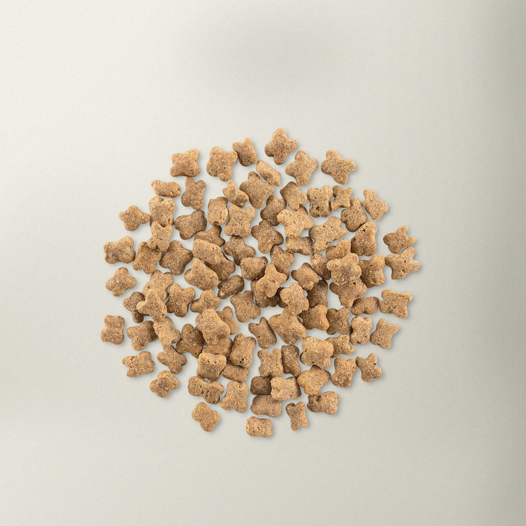 Petcurean Now Fresh Small Breed Senior Turkey, Salmon & Duck Grain-Free Dry Dog Food