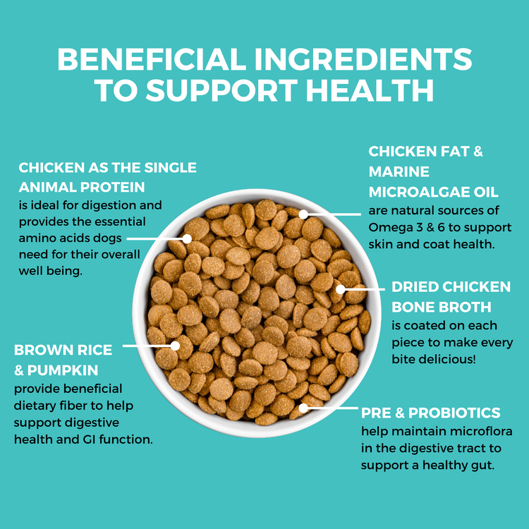 Koha Limited Ingredient Dry Bland Diet Chicken & Brown Rice Recipe with Pumpkin for Dogs