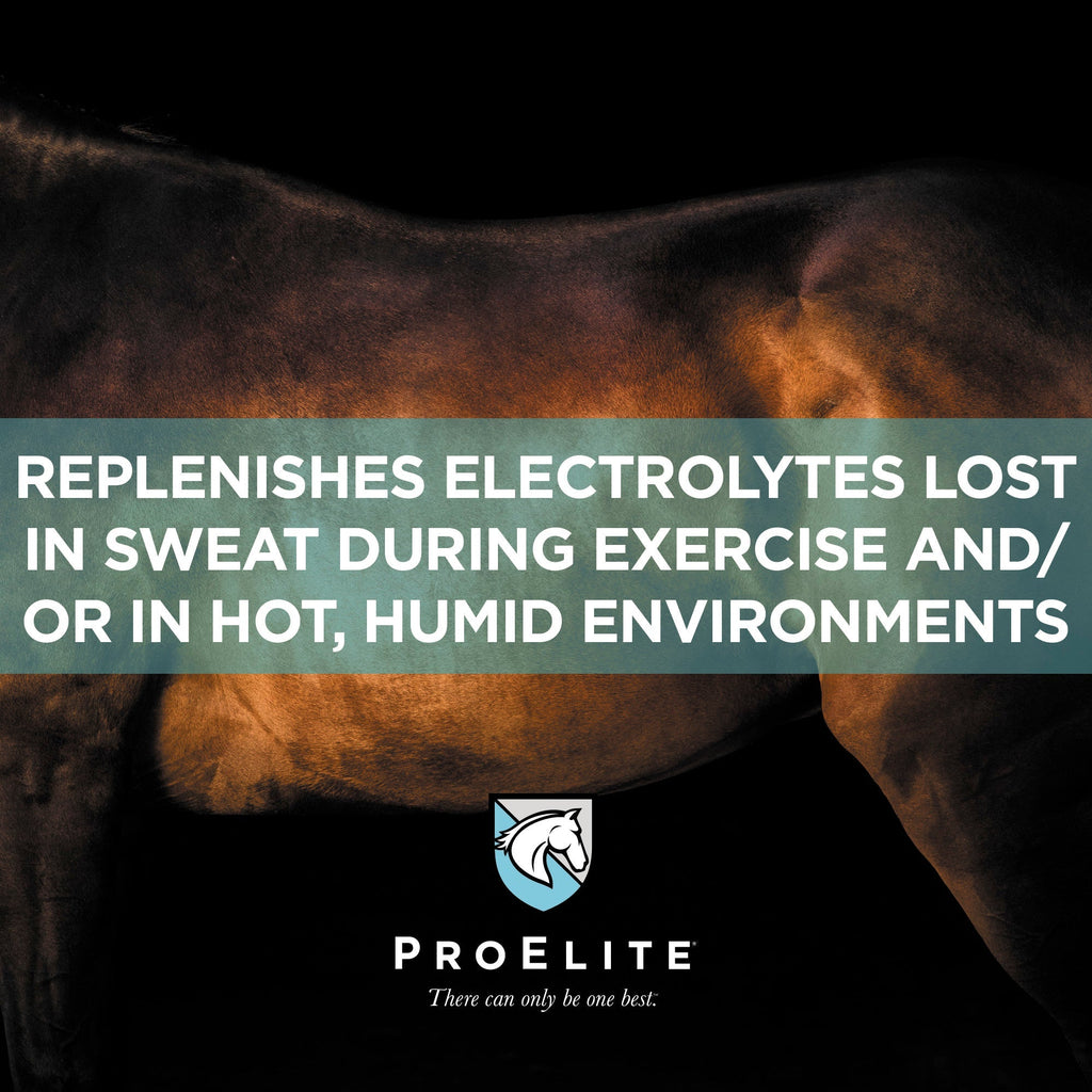 ProElite® Sweat